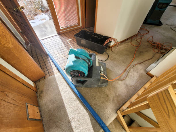 Best Flooded house restoration  in Gloverville, SC