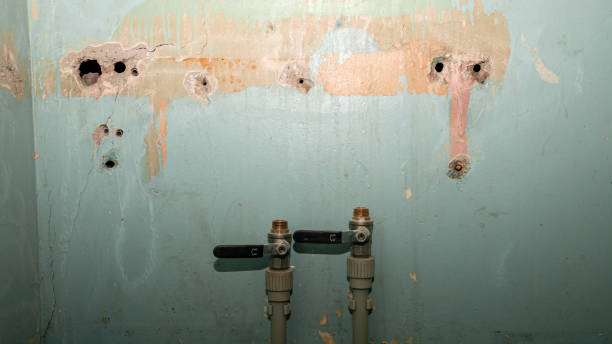Best Sewage cleanup and water damage restoration  in Gloverville, SC
