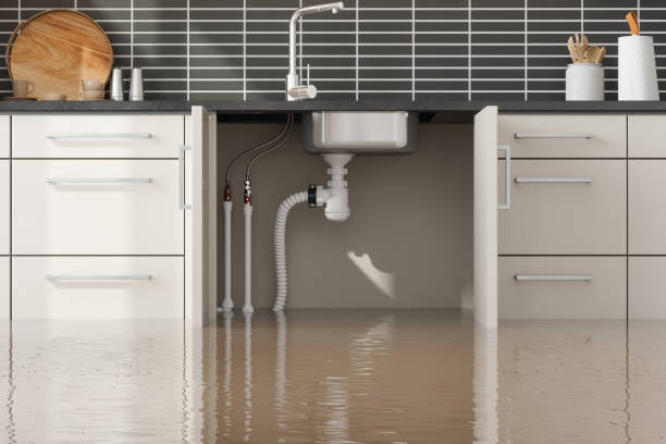 Best Basement water damage restoration  in Gloverville, SC