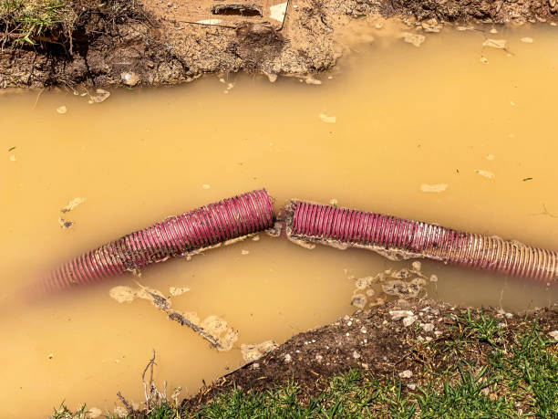Best Flood damage cleanup  in Gloverville, SC