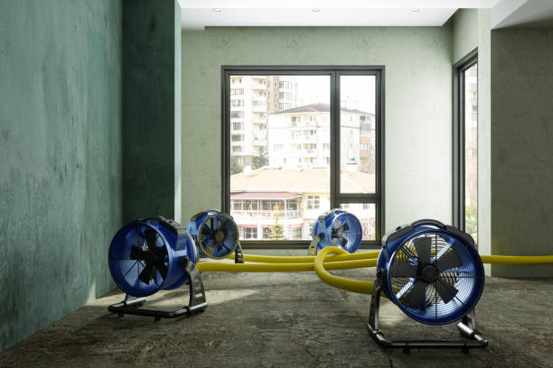Best Emergency water damage restoration  in Gloverville, SC